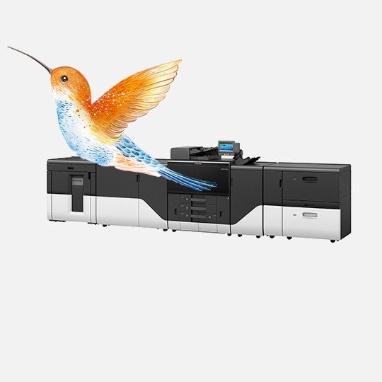 graphic arts