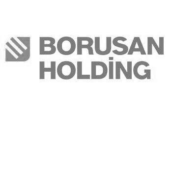 borusan