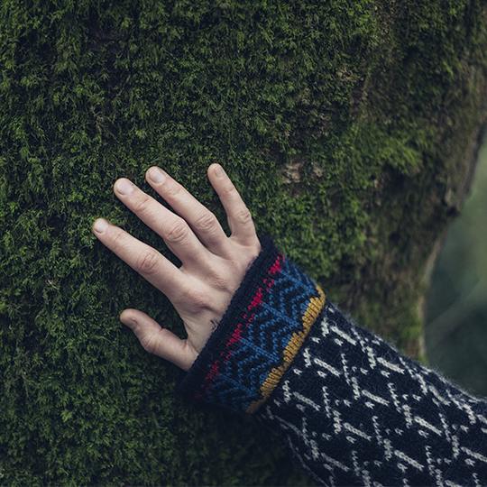 Ofis Baskısı için Sürdürülebilir Gelecek: Çevre dostu baskı her zamankinden daha mümkün hand in a tree