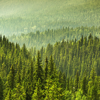 orjinal-toner-cevre-ve-garanti